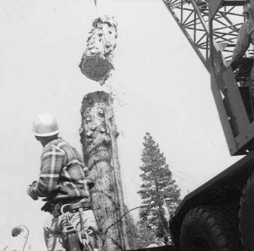 Click to see PIC 4-NEV3 53 I of Nevada City (PIC 4-NEV)