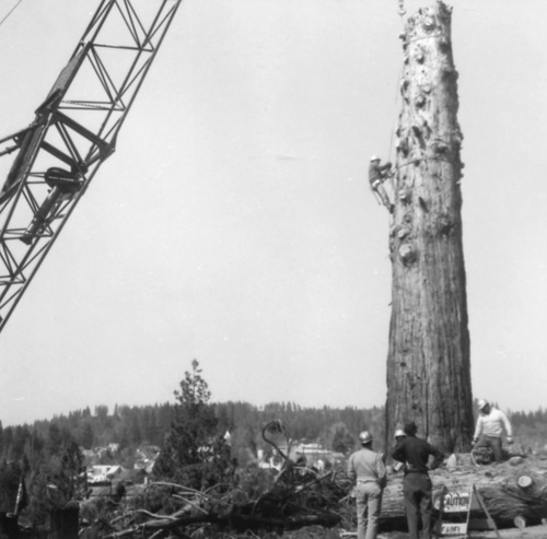 Click to see PIC 4-NEV3 53 J of Nevada City (PIC 4-NEV)