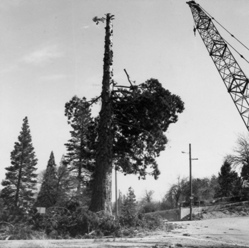 Click to see PIC 4-NEV3 53 K of Nevada City (PIC 4-NEV)