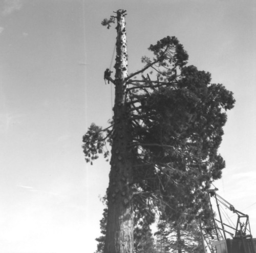 Click to see PIC 4-NEV3 53 L of Nevada City (PIC 4-NEV)