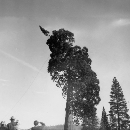 Click to see PIC 4-NEV3 53 M of Nevada City (PIC 4-NEV)