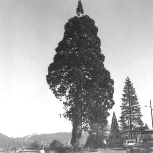 Click to see PIC 4-NEV3 53 O of Nevada City (PIC 4-NEV)