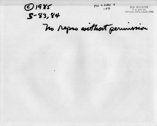 Back of Photo