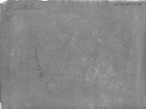 Back of Photo Back of Photo