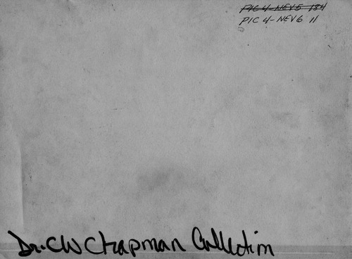 Back of Photo Back of Photo
