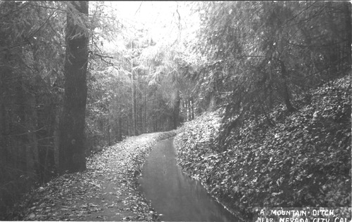 Click to see PIC 4-NEV6 29 of Nevada City (PIC 4-NEV)