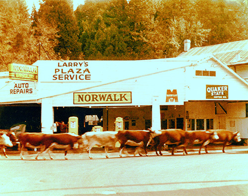 Click to see PIC 4-NEV6 82 of Nevada City (PIC 4-NEV)