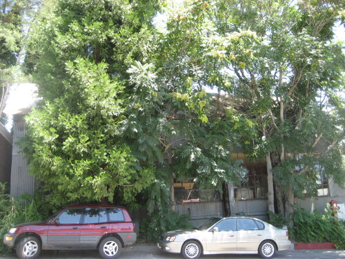 Click to see PIC 4-NEV6 129A of Nevada City (PIC 4-NEV)