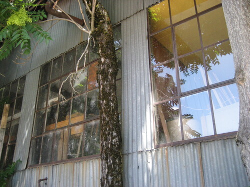 Click to see PIC 4-NEV6 129C of Nevada City (PIC 4-NEV)