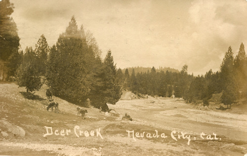 Click to see PIC 4-NEV6 231 of Nevada City (PIC 4-NEV)