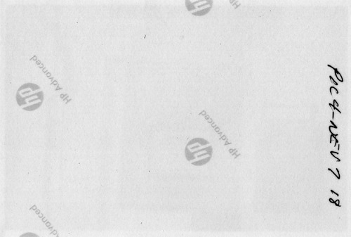 Back of Photo Back of Photo