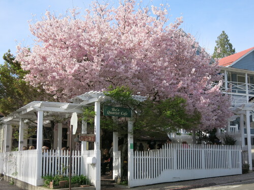 Click to see PIC 4-NEV7 34 of Nevada City (PIC 4-NEV)