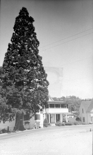 Click to see PIC 4-NEV7 143 of Nevada City (PIC 4-NEV)