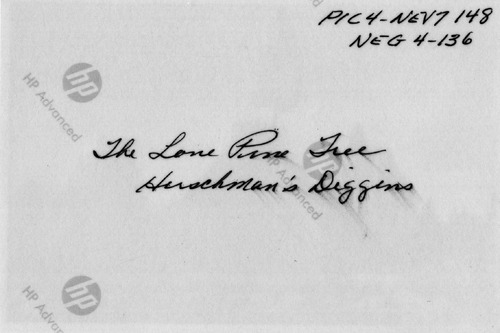 Back of Photo