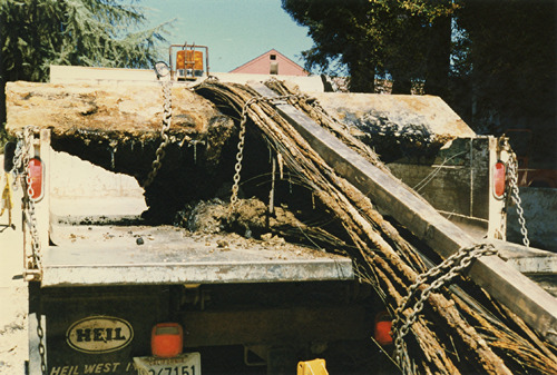 Click to see PIC 4-NEV7 264 of Nevada City (PIC 4-NEV)