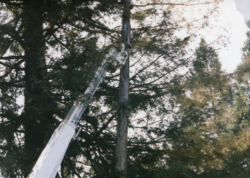Click to see PIC 4-NEV7 772 of Nevada City (PIC 4-NEV)