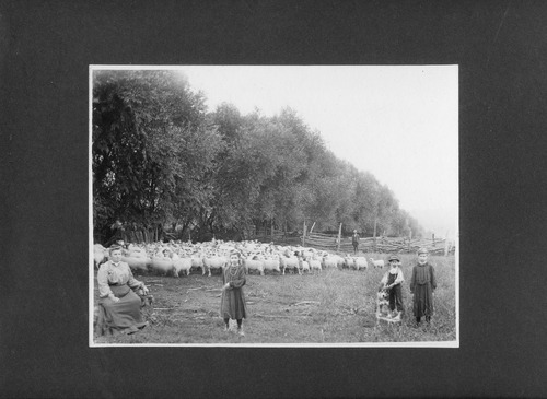 Click to see PIC 4-NEV7 889 &889B of Nevada City (PIC 4-NEV)