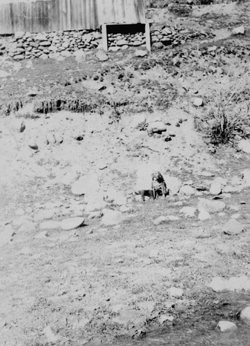 Click to see PIC 4-REL 11-4 of Relief Hill (PIC 4-REL)