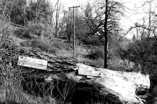 Click to see PIC 4-ROU 44 of Rough & Ready (PIC 4-ROU)