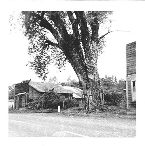 Click to see PIC 4-ROU 68 of Rough & Ready (PIC 4-ROU)