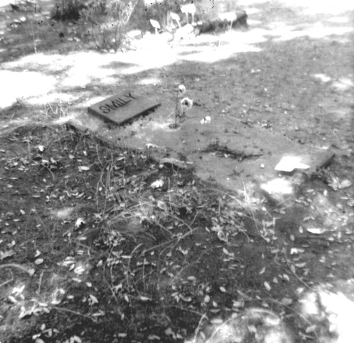 Click to see PIC 4-SAN 14-5 of North San Juan (PIC 4-SAN)