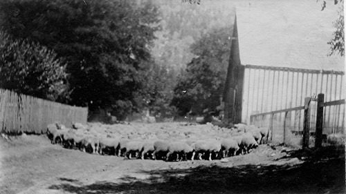 Click to see PIC 4-WAS 74 of Town of Washington (PIC 4-WAS)