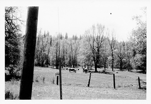 Click to see PIC 4-YUBA CO 19C of Yuba County (PIC 4-YUBA)