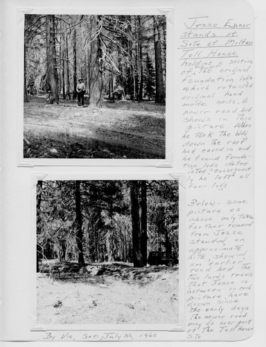 Click to see PIC 5-CABIN 6 of Cabins (PIC 5-CABIN)
