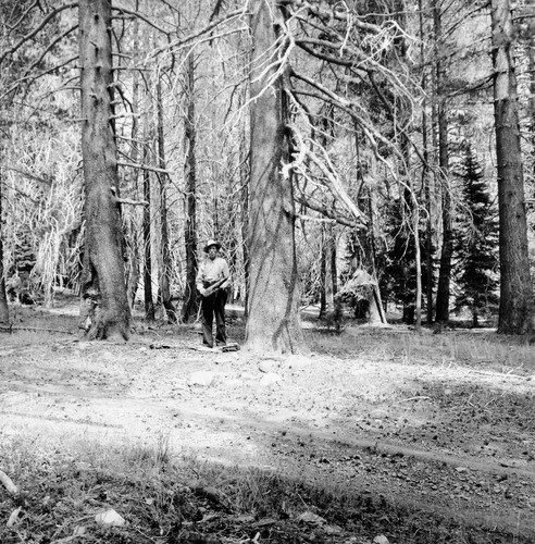 Click to see PIC 5-CABIN 6A of Cabins (PIC 5-CABIN)
