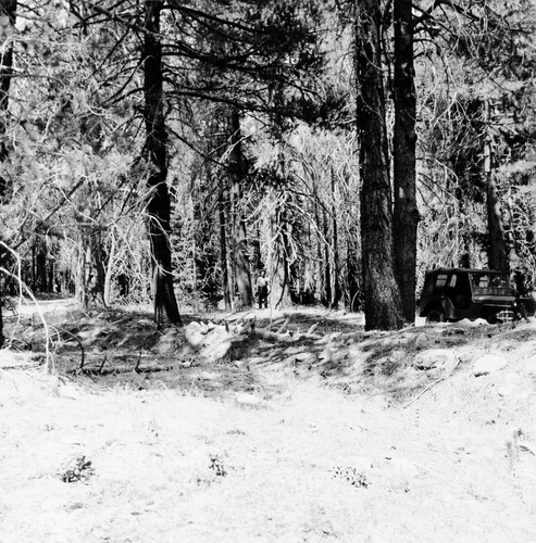 Click to see PIC 5-CABIN 6B of Cabins (PIC 5-CABIN)