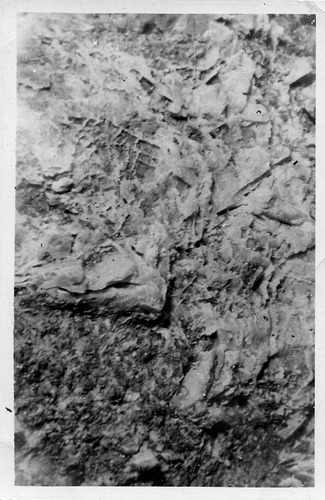 Click to see PIC 5-MIN-A 243 of Mining (PIC 5-MIN-A)