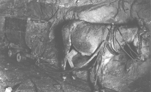 Click to see PIC 5-MIN-B 63-2 of Mining (PIC 5-MIN-B)