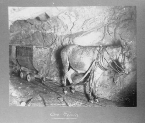 Click to see PIC 5-MIN-B 63-3 of Mining (PIC 5-MIN-B)