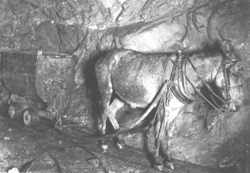 Click to see PIC 5-MIN-B 63-1/5 of Mining (PIC 5-MIN-B)