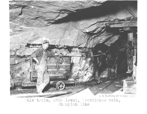 Click to see PIC 5-MIN-B 132 of Mining (PIC 5-MIN-B)