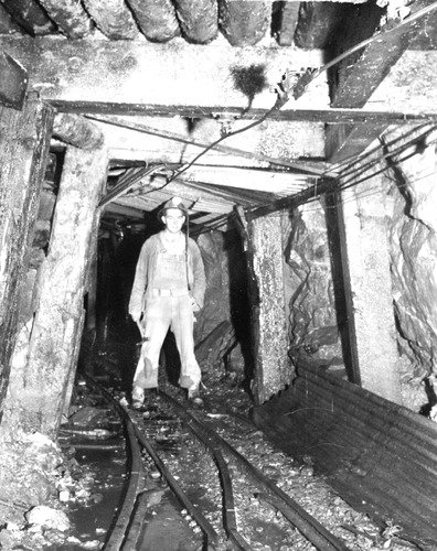 Click to see PIC 5-MIN-B 228 of Mining (PIC 5-MIN-B)