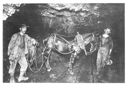 Click to see PIC 5-MIN-B 253 of Mining (PIC 5-MIN-B)