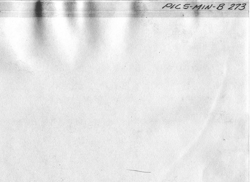 Back of Photo