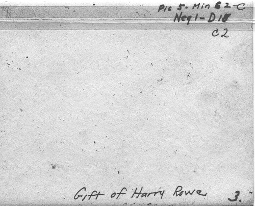Back of Photo