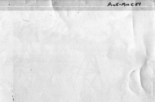 Back of Photo