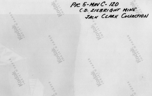 Back of Photo