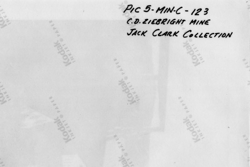Back of Photo Back of Photo