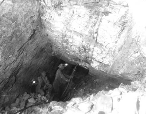 Click to see PIC 5-MIN-C 411 of Mining (PIC 5-MIN-C)