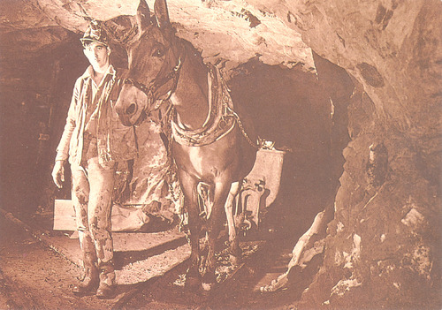 Click to see PIC 5-MIN-D 224 of Mining (PIC 5-MIN-D)