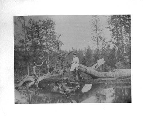 Click to see PIC 5-N 6 of Nevada County (Out of town) (PIC 5-N)