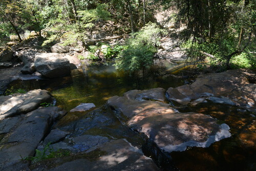 Click to see PIC 5-N 32 of Nevada County (Out of town) (PIC 5-N)