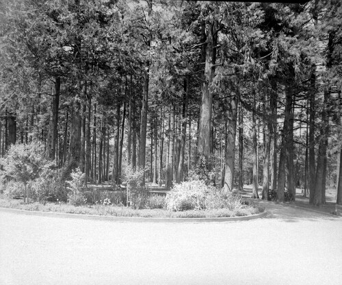 Click to see PIC 5-N 93F of Nevada County (Out of town) (PIC 5-N)