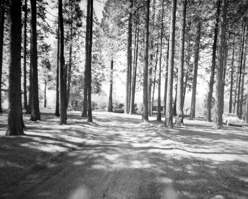 Click to see PIC 5-N 93G of Nevada County (Out of town) (PIC 5-N)