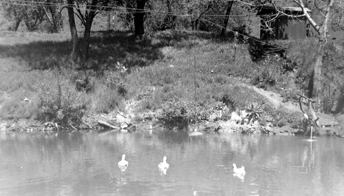 Click to see PIC 5-N 93I of Nevada County (Out of town) (PIC 5-N)