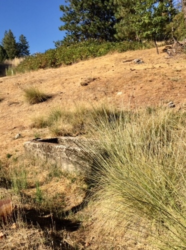 Click to see PIC 5-N 95A of Nevada County (Out of town) (PIC 5-N)